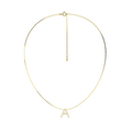 18k Gold Plate Initial Necklace AW24N006G